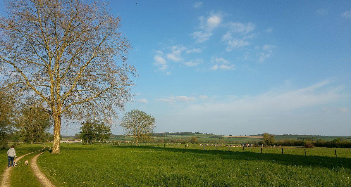 Meteor observations from the very dark village of Buzancy in northern France