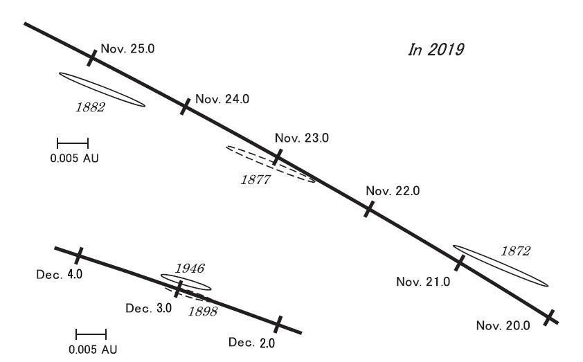 Forecast for Phoenicids (PHO#254) in 2019