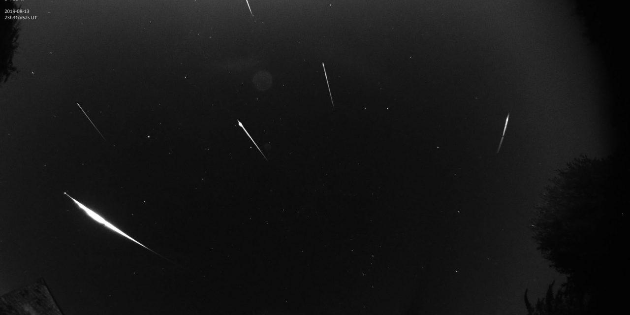 Perseids 2019: Another peak in activity around solar longitude 141.0?