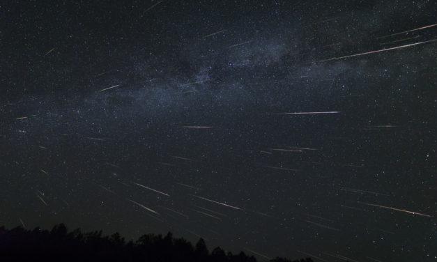 Observations August 11/12 and 12/13 2020