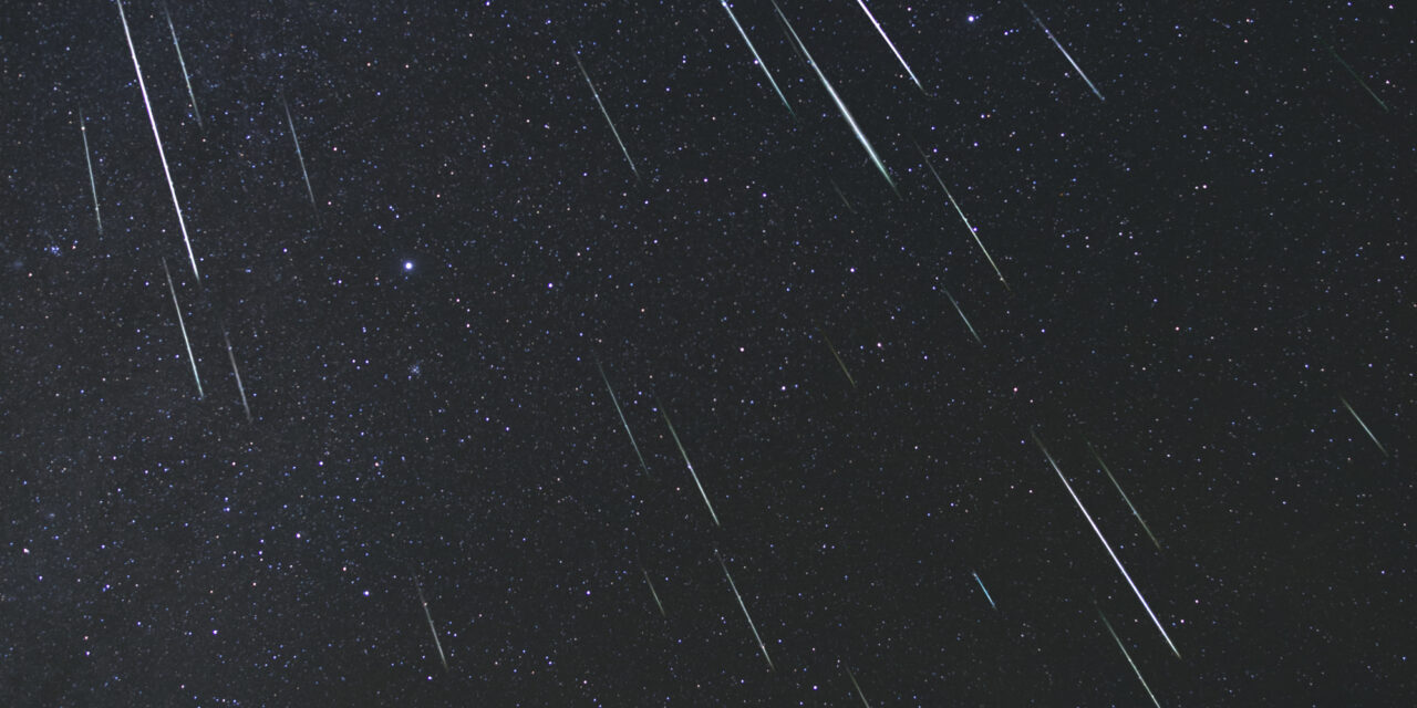 The Geminids in 2020