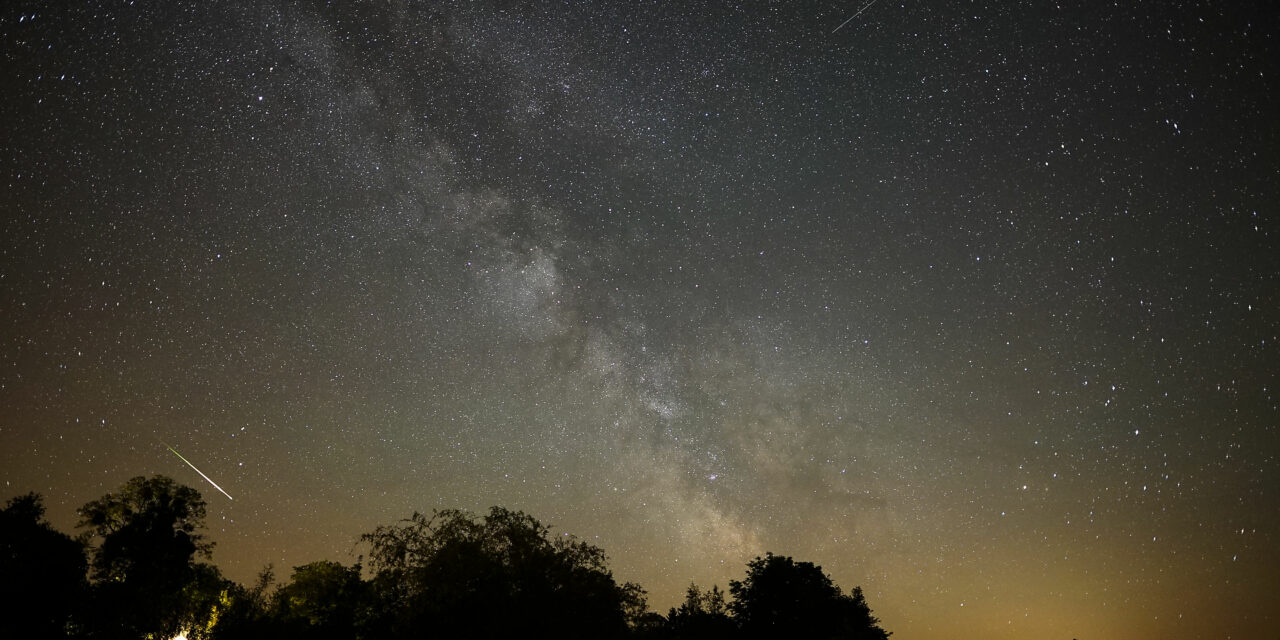 Spring 2021 observations from Ermelo (the Netherlands) and Any Martin Rieux (France).