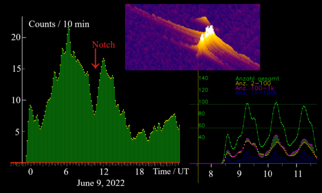 A Notch in the Arietids Radio Data and a new so called In-Line-Effect