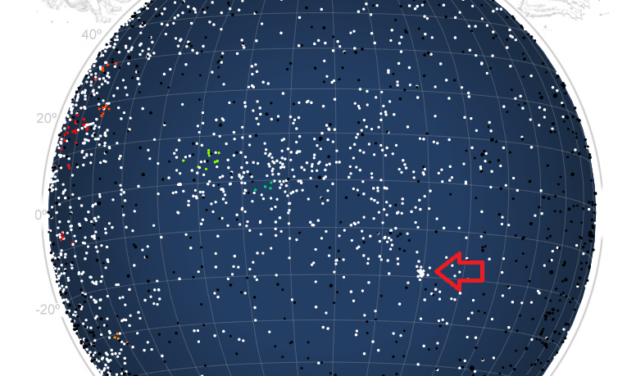 February Hydrids (FHY#1032) in 2023