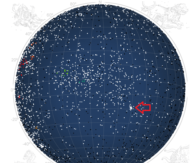 February Hydrids (FHY#1032) in 2023