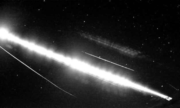 GMN observations of the Crew-5 trunk reentry