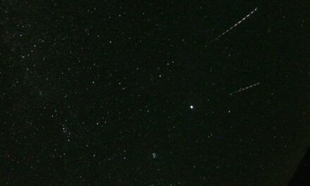 Perseids in 2023: another outburst around λʘ 141° and possibly dust trail activity from 68BC detected