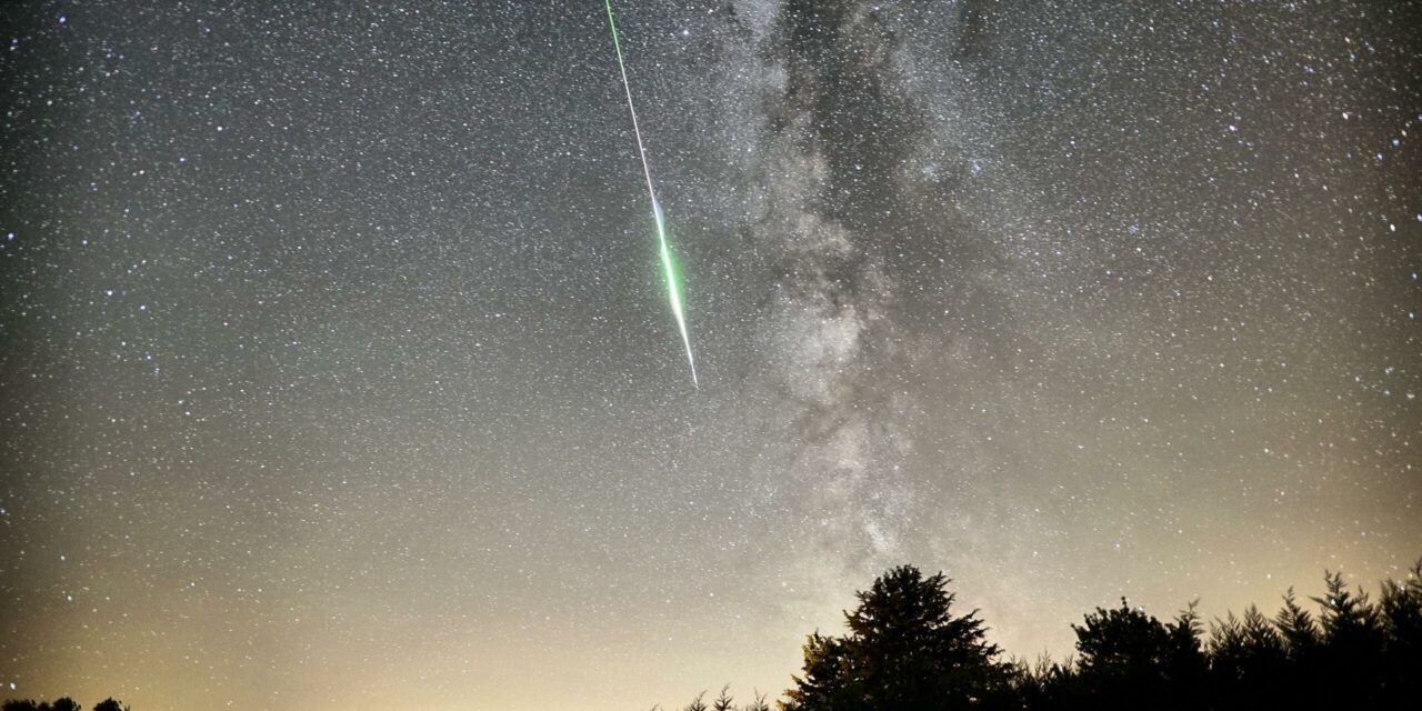 A successful Perseid campaign from Revest du Bion, Provence, Southern France