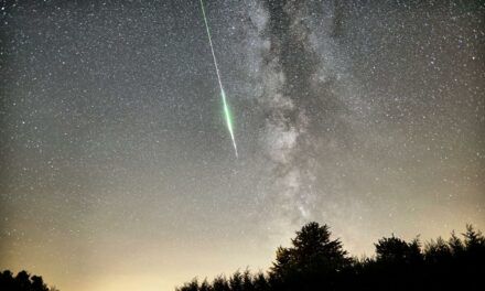 A successful Perseid campaign from Revest du Bion, Provence, Southern France