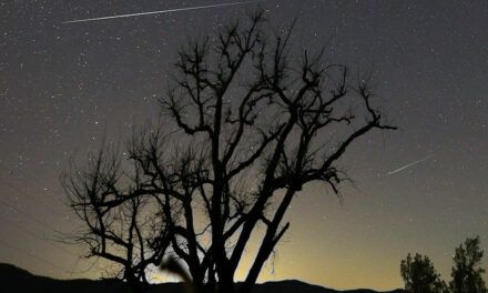 A successful Geminid campaign from Portugal
