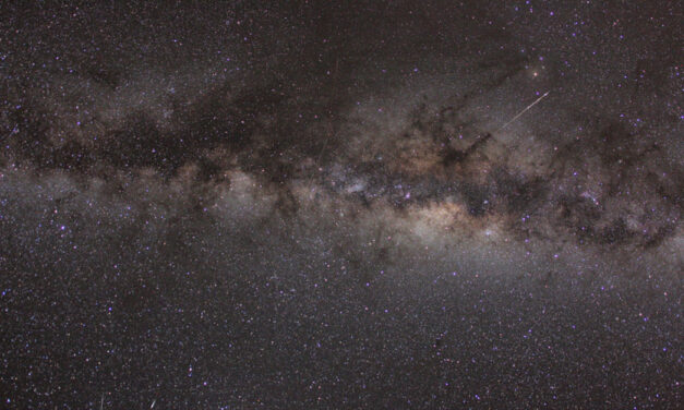 The Southern Delta Aquariids 2000-2025