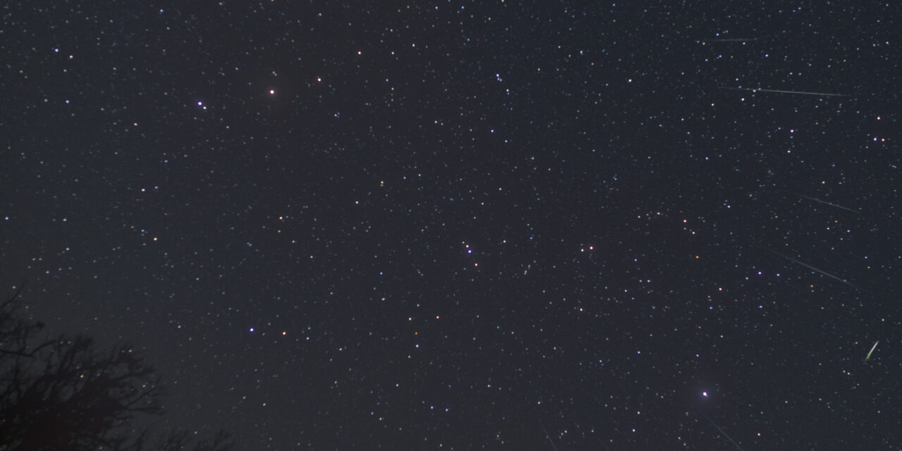 The Ursids (1). The Filament observed in 2026, a small outburst