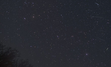 The Ursids (1). The Filament observed in 2026, a small outburst