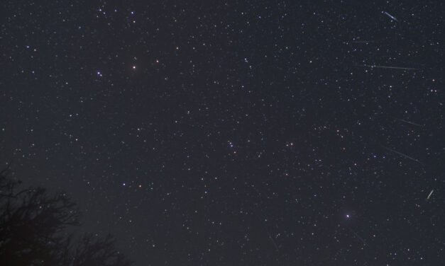 The Ursids (1). The Filament observed in 2026, a small outburst
